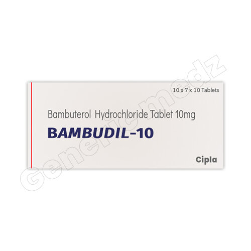 Bambudil