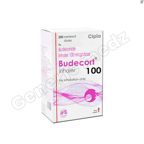 Budecort Inhaler 100mcg Budecort Inhaler 100mcg